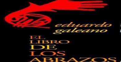 Resumen de El libro de los abrazos