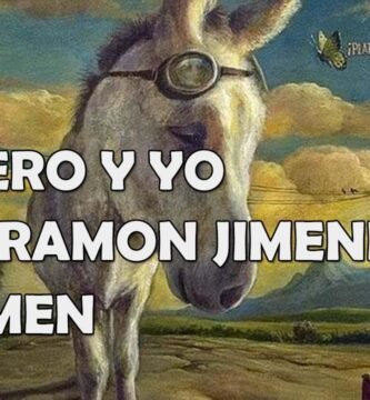 Resumen de Platero y yo