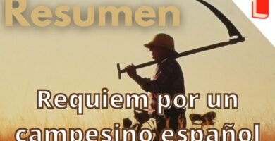 Resumen de Requiem por un campesino español