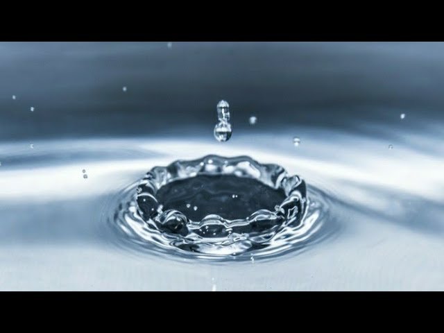 Resumen del libro La memoria del agua.