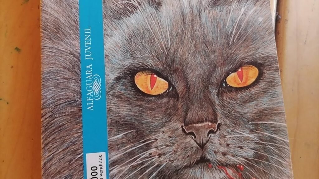 Resumen del libro La sombra del gato.